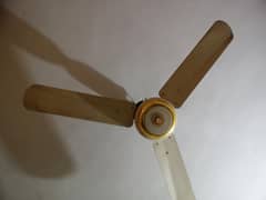 Celling Fan 56"