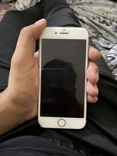 iphone 7 pta