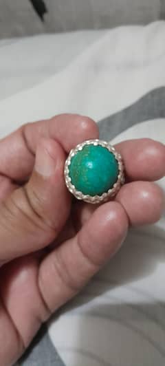 irani hussaini feroza
