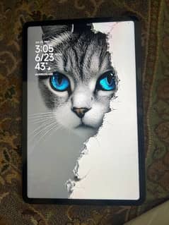 xioami pad 6 8+8/256GB