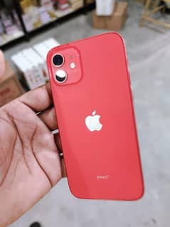 Iphone 12 10/9.99 Bilkul lush 64Gb