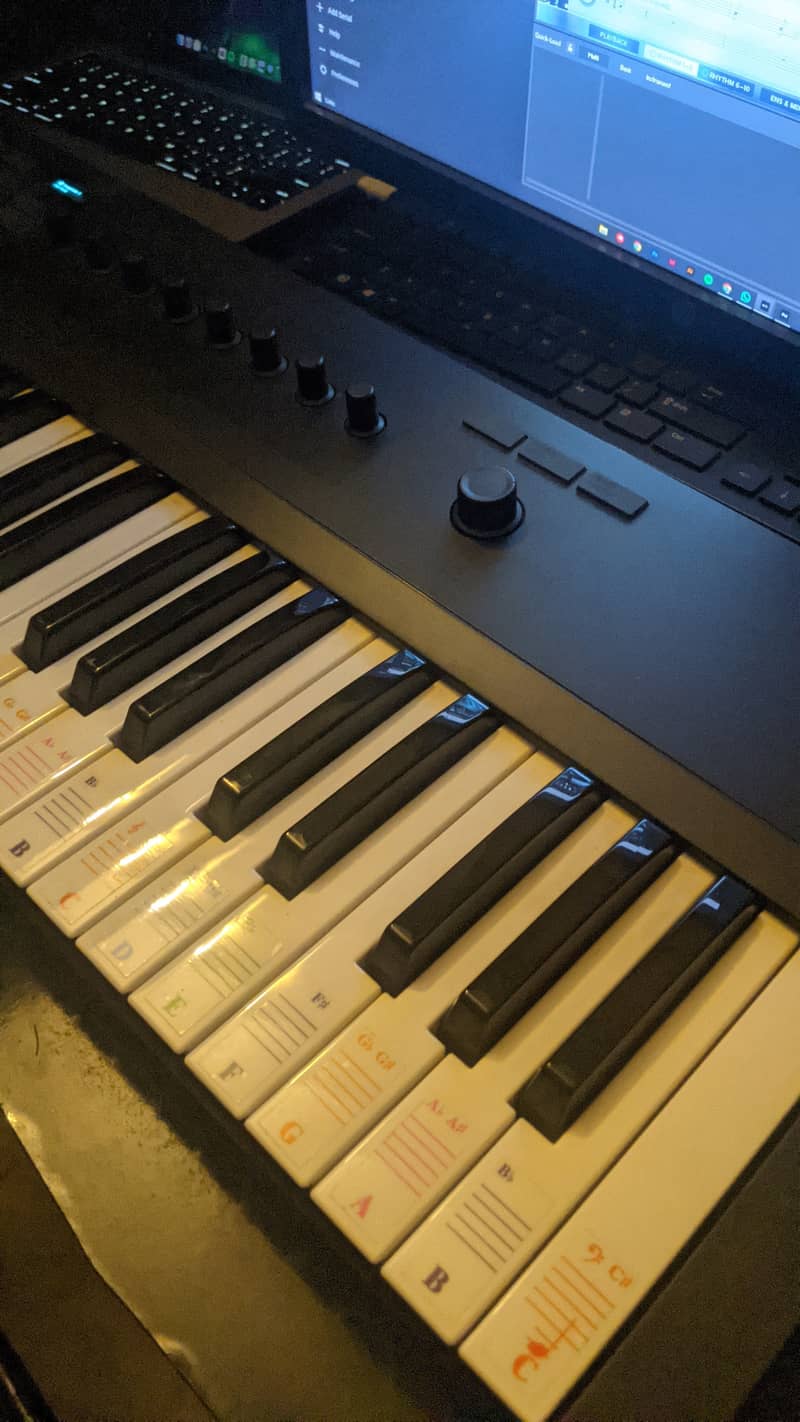 Native Instruments Komplete Kontrol A49 - MIDI Controller Keyboard 2