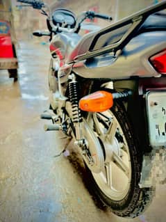 Suzuki 110