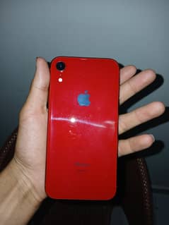 iphone xr red colour