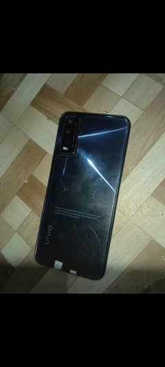 vivo