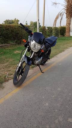 YAMAHA YBR