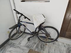 Bicycle