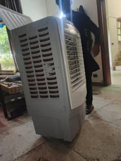 medium size cooler for sale  condition 10/9 ph 03057379571