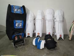 cricket