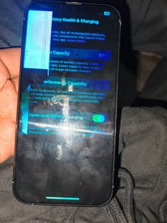 13pro