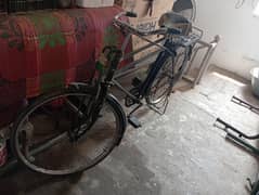 Sohrab cycle 22 size