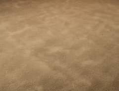 Carpet