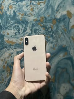 Xs