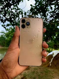I phone 11 PRO (64) official PTA Proved  (Gold) Sale & Exchange