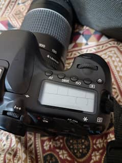 Canon 60D with 75:300 lense