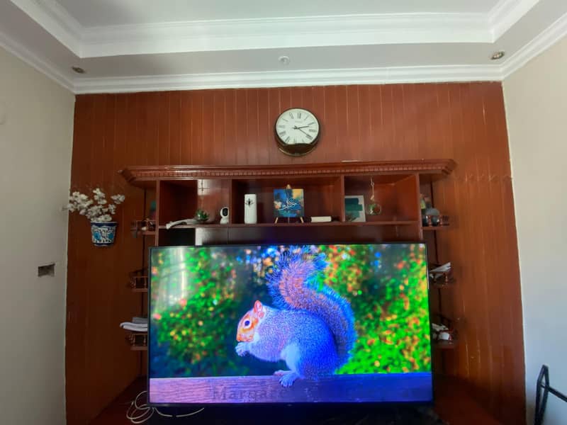 tcl led 0
