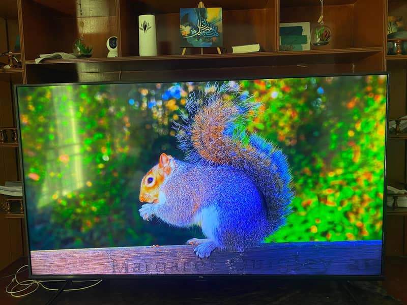 tcl led 1