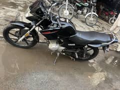 Yamaha YBR 125 2018