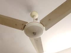 Pak fans 56 inch/48 inch best condition