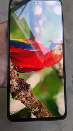 Redmi Note 13 Urgent sale