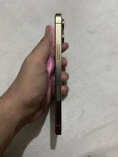 Iphone 13 pro max (NEW)