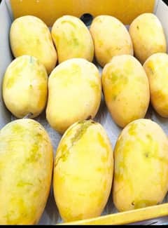 Mian Mango faram multan 