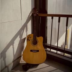 Professional Size Acoustic Guitar For Sale
