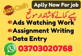 Assignment Job / Part Time Full Time Job / Job for male and female
