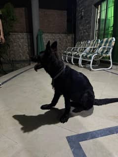 jet
