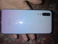 vivo