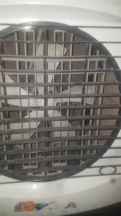 Air Cooler
