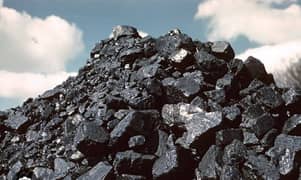 Coal for consultancy