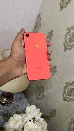 iphone xr 64gb jv no exchange!