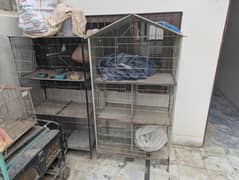 birds cage