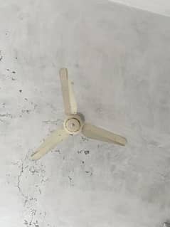Selling Fan