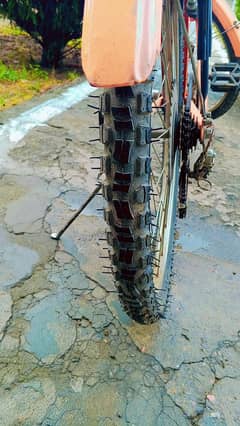 cycle for sale.