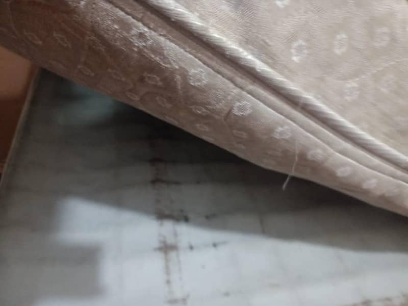 two sofy full size 5