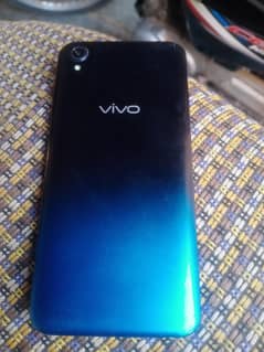 vivo