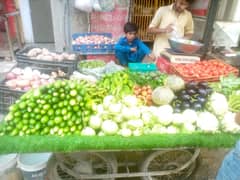 Need person vegetable and chicken shop