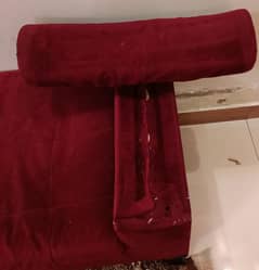 Dewan 2 seater 1 site damage