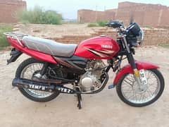 Yamaha