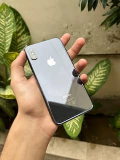 iPhone X's approved