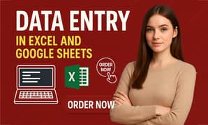 I will Data Entry, Data Scraping and Excel Work