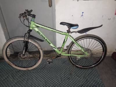 dolphin river bicycle