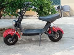 scuti