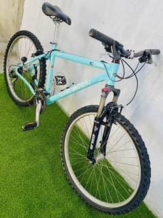 Louis Garneau Imported Bicycle