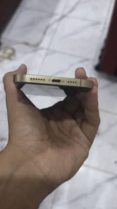 Iphone 12 pro max 128gb gold colour jv