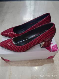 Stylo