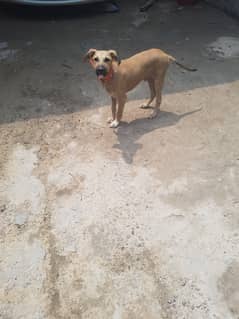 Best security