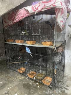 Budgies cage complete setup sale